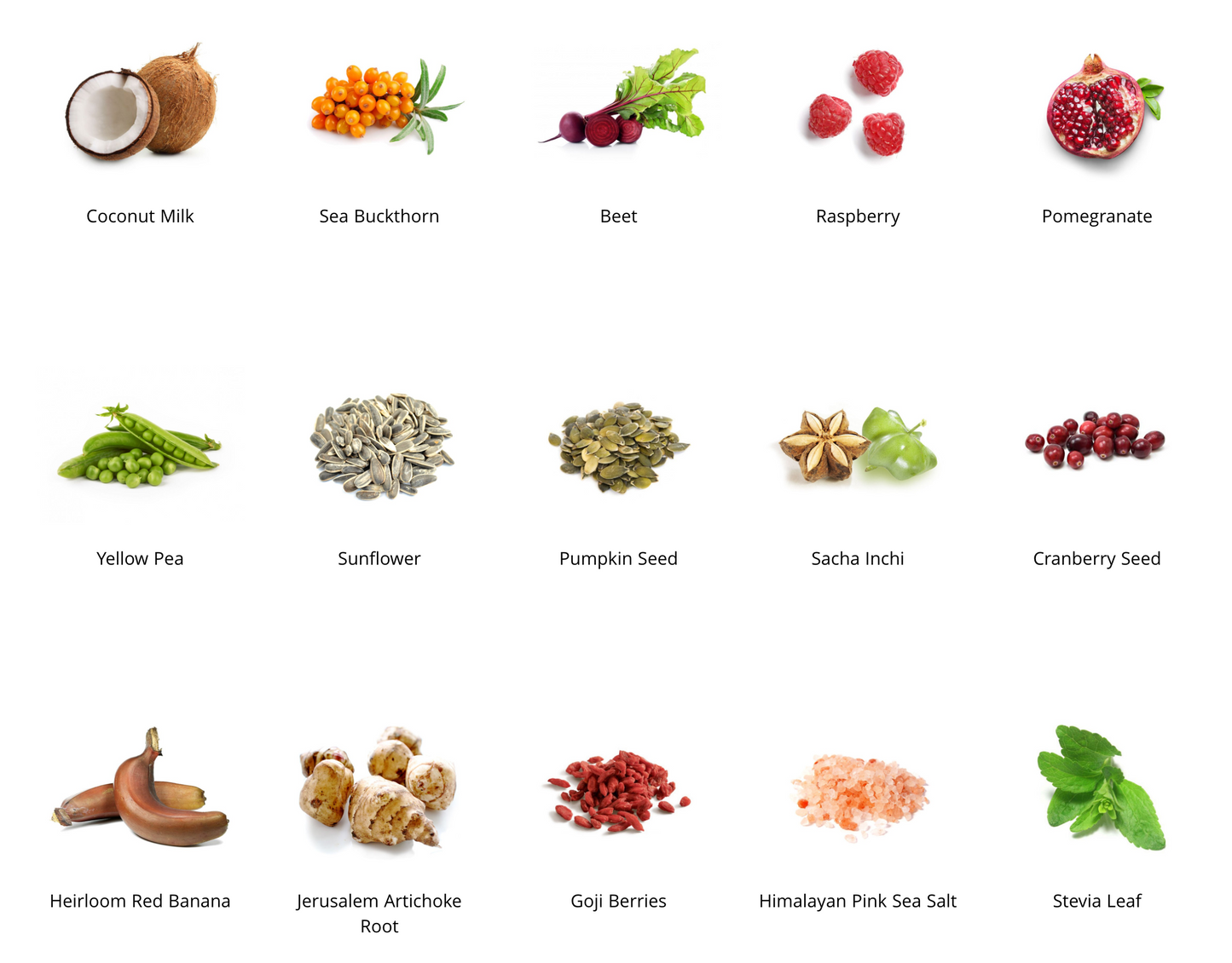 Epic Protein Pro Collagen 364g